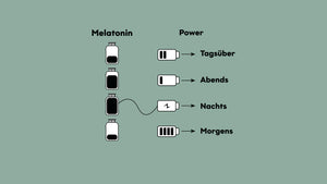 Melatonin Power Batterie