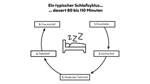 die fünf typischen Schlafzyklen